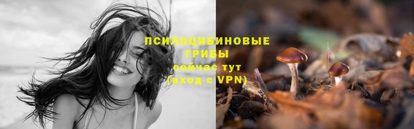 тгк Алексеевка