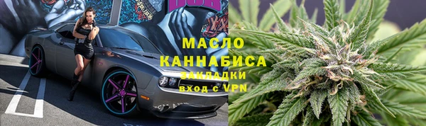 гашик Елизово