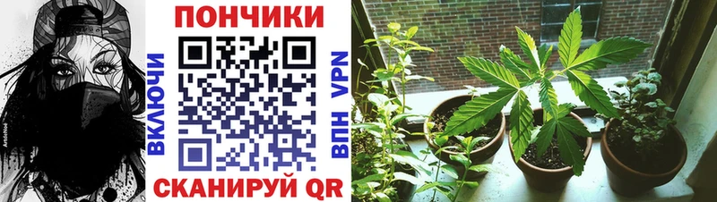 Конопля AK-47 Новоуральск